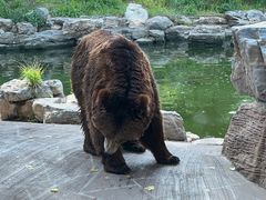 -北京野生动物园