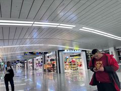 -石家庄正定国际机场-T2航站楼