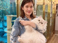 -猫大福·Fortune Cat猫舍(百子湾店)