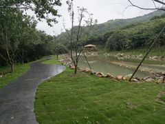 -福清灵石山国家森林公园