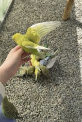 -萌宠亲子动物乐园(槐房万达店)