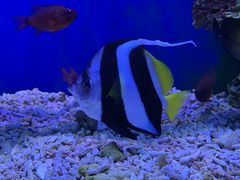 -太平洋海底世界