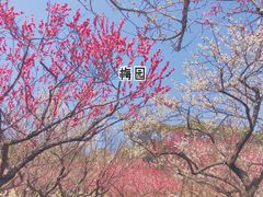 -无锡梅园公园