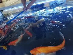 -万达广场(赣州于都店)