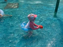 -海合安武汉极地海洋公园