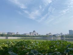 -莲花池公园