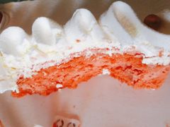 -多乐之日(五道口店)