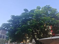 -艾薯夫妇Aysh(红山店)