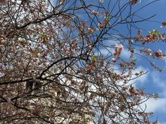 -维多利亚火车站