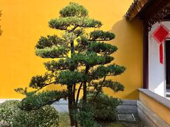 -重元寺香积厨素斋馆