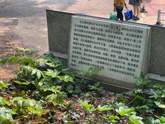 -马王堆汉墓遗址