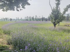 -汉长安城未央宫国家考古遗址公园