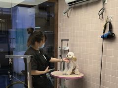 -FAELING PETS美天灵宠物(富力广场店)
