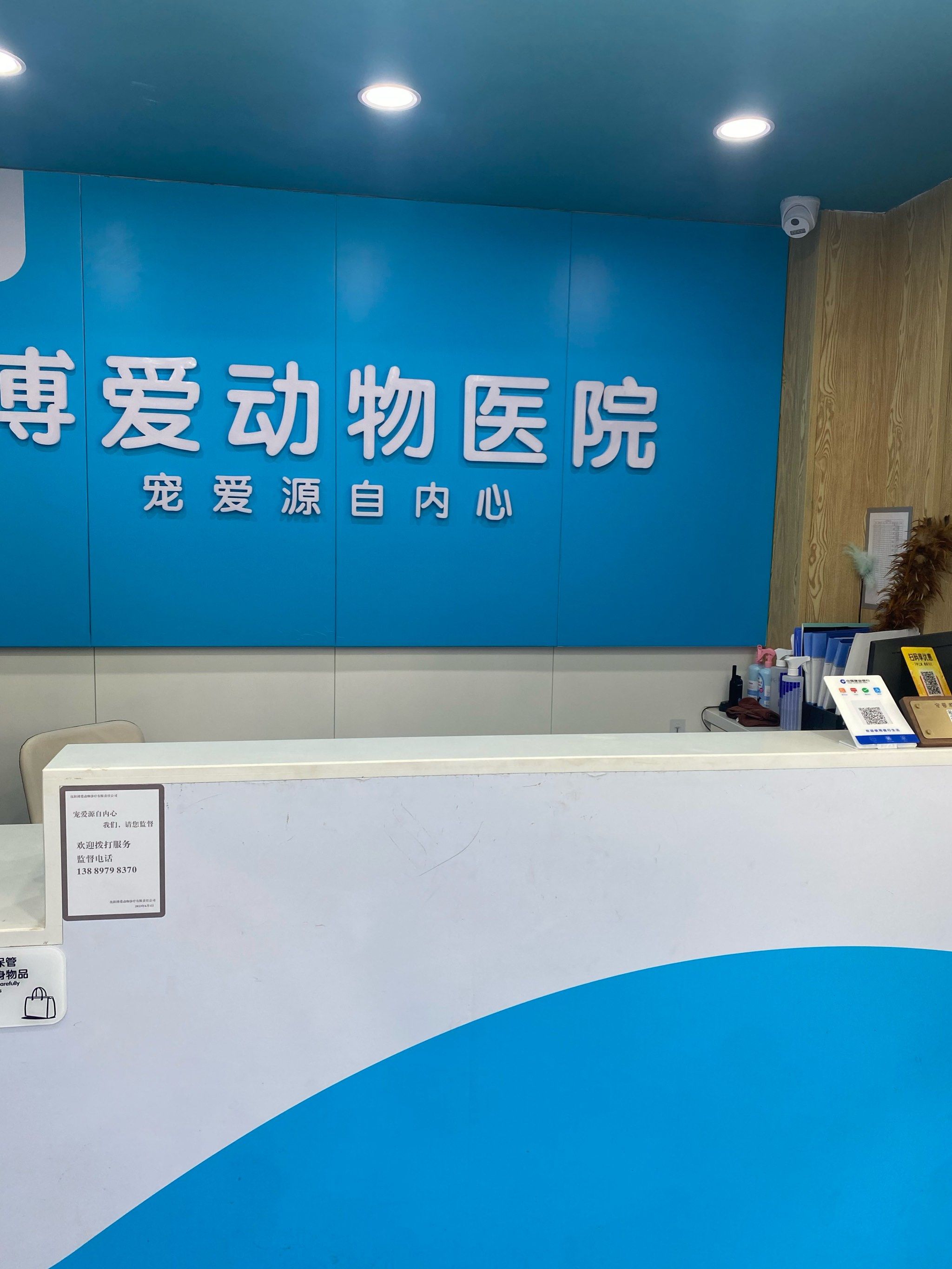 动物恋爱咨询中心
