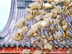 -杭州上天竺法喜讲寺
