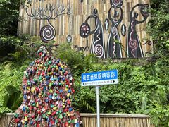 -西双版纳原始森林公园