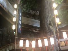 -淀里船宴(卓达店)