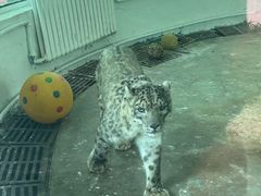 -青藏高原野生动物园