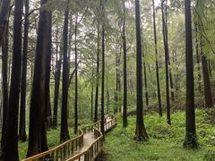 -波尔登森林公园