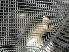 -瑞鹏瑞爱宠物医院·全科·猫科·血液透析中心(龙头寺店)