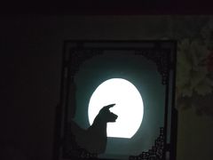 -盖碗儿梨园·变脸吐火·川剧(天府广场店)