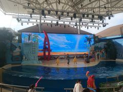 -三亚海昌梦幻海洋不夜城