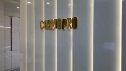 点击看大图 -COSMO PRO造型