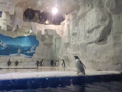 -华夏文旅海洋公园