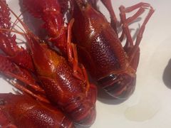 -霸王虾·麻辣小龙虾(清水河公园店)