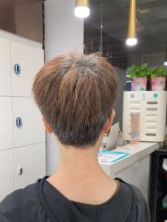 点击看大图 -镁连社·美联社