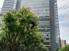 -京城小江南·北京烤鸭·江南土菜·白鱼(中关村店)