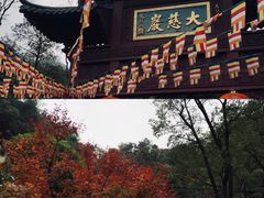 -大慈岩风景区