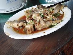 -清水湖度假村(罗浮山美食地标店)