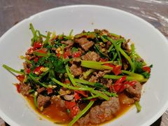 -壹盏灯(惠农店)