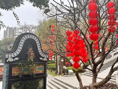 -荔湾湖公园