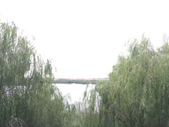 -湖南东洞庭湖国家级自然保护区