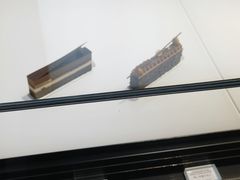 -BLACKSWAN黑天鹅(环球店)