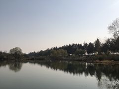 -贡湖湾湿地公园