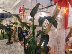 -天空花园餐吧·生日·团建(南山店)