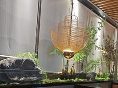 -吉庆莲年有鱼炭烤鱼(苏宁广场店)