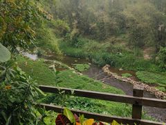 景点-龙山酒店温泉