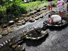 -成都市活水公园
