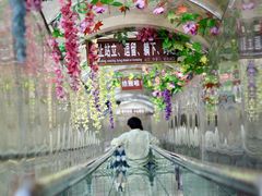 -仙岛湖旅游风景区