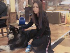 -more than meow吴止猫主题餐厅(承德 中船汇店)