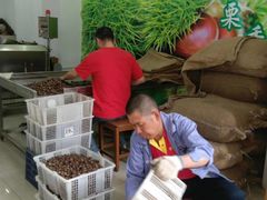 -阿男野栗王(金门路店)