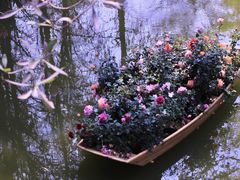 -人民公园(罗湖区)