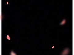 -阪尚皇·原切牛排·烤肉火锅自助(北京路店)