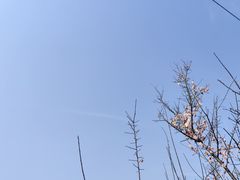 -池州市平天湖风景区