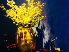 -璞·澐间影院式足道SPA(尚悦湾店)