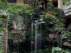-白天鹅宾馆·流浮阁咖啡厅
